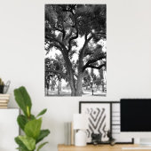 Poster Arbre noir et blanc (Bureau à domicile)