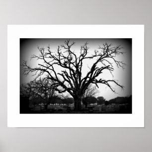 Poster arbre noir et blanc dans le cimetière
