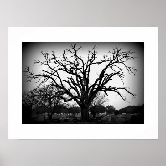 Poster arbre noir et blanc dans le cimetière (Devant)