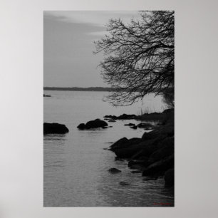 Poster Arbre noir et blanc sur la baie #5845