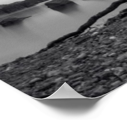 Poster Arbre nu (Coin)