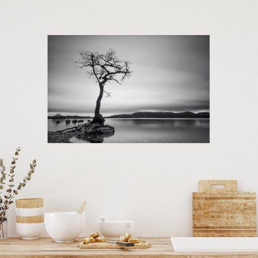 Poster Arbre nu (Cuisine)