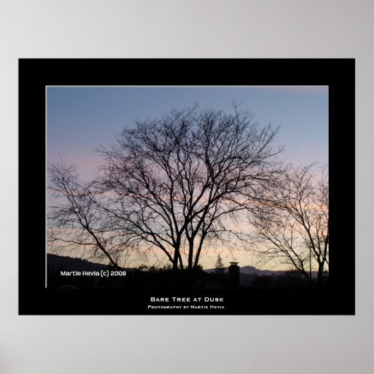 Poster "Arbre nu à Dusk" (Devant)