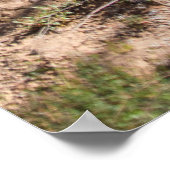 Poster Arbre nu en montagne pendant la journée (Coin)