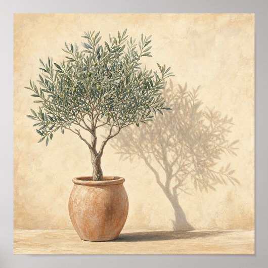 Poster Arbre Olive Chauffé en Pot - Botanique Carré - Art (Devant)
