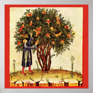 POSTER ARBRE POMÉGRANÉ ANTIQUE