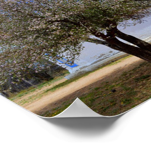 Poster Arbre Pommier En Floraison, Chapelle Sangre De Cri (Coin)