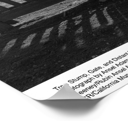 Poster Arbre, porte et grange éloignée, mars 1962 (Coin)