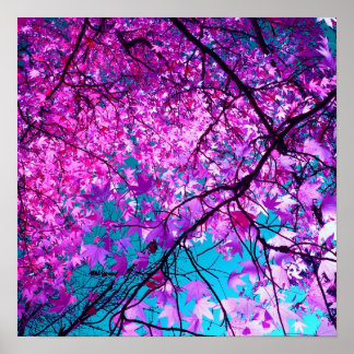 Poster Arbre pourpre XI