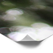 Poster arbre printanier sous la pluie (Coin)