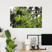 Poster arbre printanier sous la pluie (Bureau à domicile)