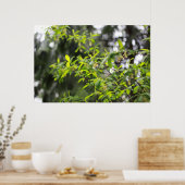 Poster arbre printanier sous la pluie (Cuisine)