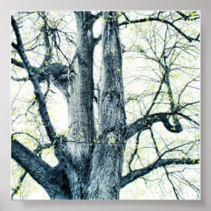 Poster Arbre printanière