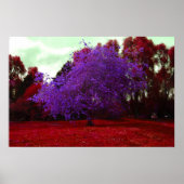 Poster Arbre psychédélique (Devant)