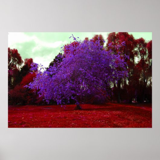 Poster Arbre psychédélique (Devant)