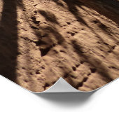 Poster Arbre qui pousse entre les rochers dans le parc na (Coin)