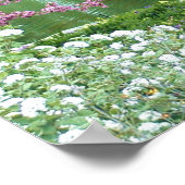 Poster Arbre rose à fleurs sur l'eau (Coin)