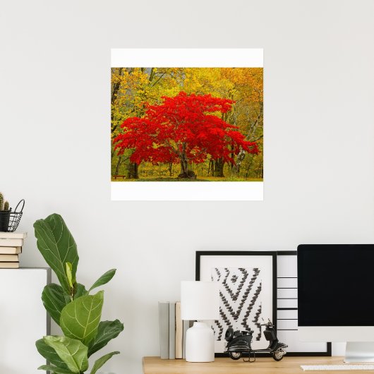 Poster Arbre rouge (Bureau à domicile)