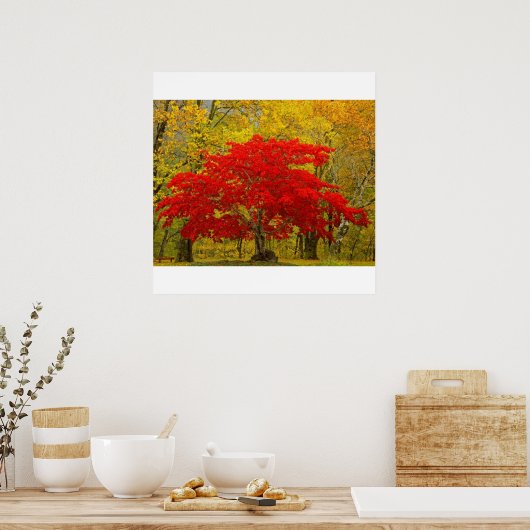 Poster Arbre rouge (Cuisine)