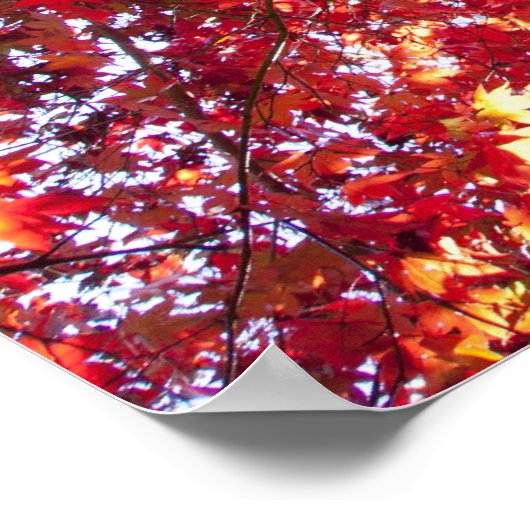 Poster Arbre rouge (Coin)