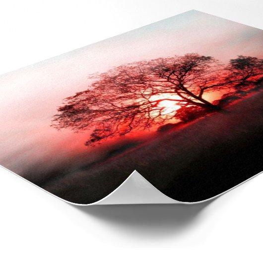 Poster Arbre rouge (Coin)