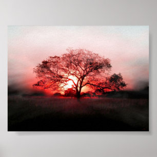 Poster Arbre rouge