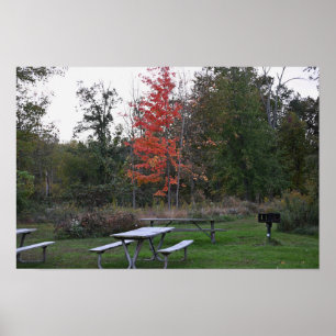 Poster Arbre rouge avec banquettes