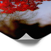 Poster Arbre rouge avec nuages (Coin)