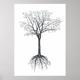 Poster Arbre sans feuilles