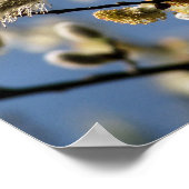 POSTER ARBRE SAUVAGE (Coin)