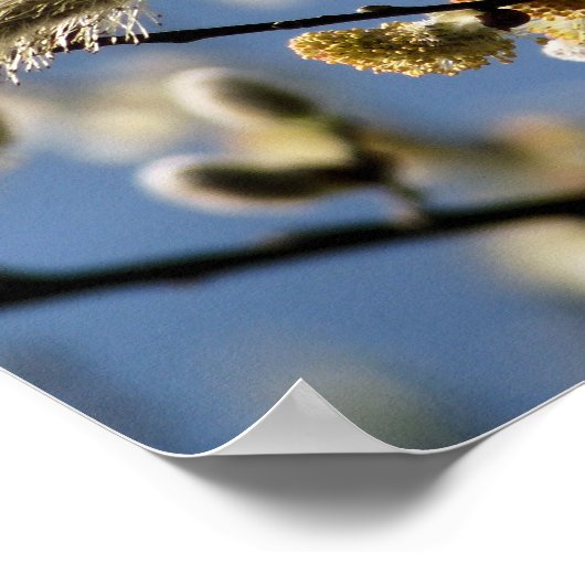 POSTER ARBRE SAUVAGE (Coin)