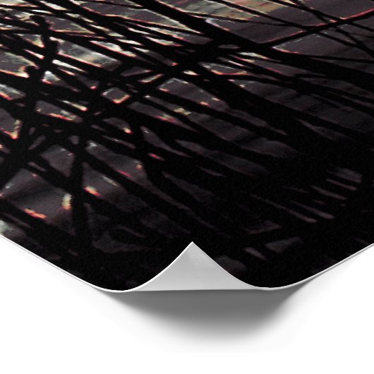 POSTER ARBRE SAUVAGE D'HIVER (Coin)