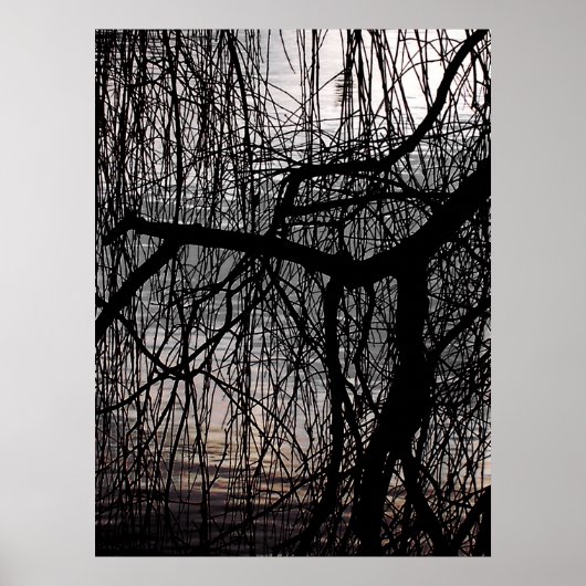 POSTER ARBRE SAUVAGE D'HIVER (Devant)