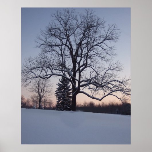 Poster Arbre solitaire (Devant)