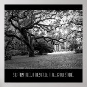 Poster Arbre solitaire (Devant)