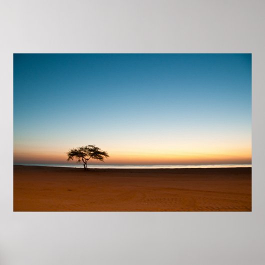 Poster Arbre solitaire au lever du soleil au Koweït (Devant)