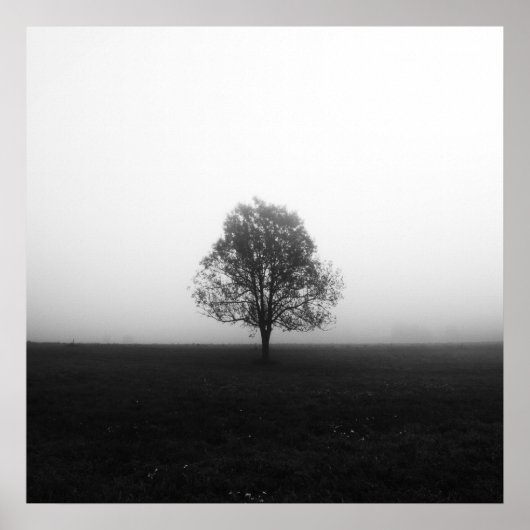 Poster Arbre solitaire dans le brouillard noir et blanc (Devant)