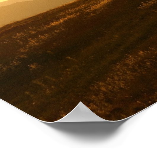 Poster Arbre solitaire dans un champ (Coin)