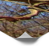 Poster Arbre solitaire en hiver (Coin)