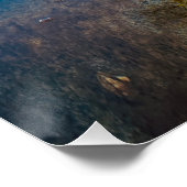 Poster Arbre solitaire près de l'eau (Coin)