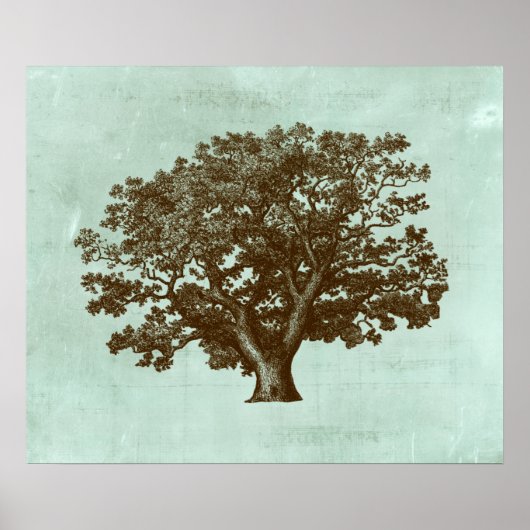 Poster Arbre spa IV (Devant)