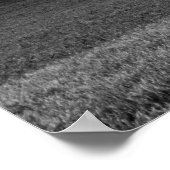 Poster Arbre Sur La Colline (Coin)