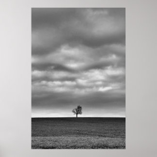 Poster Arbre Sur La Colline