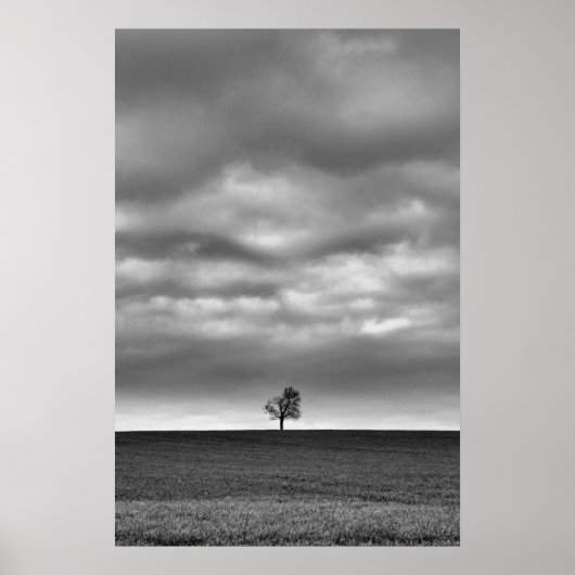 Poster Arbre Sur La Colline (Devant)