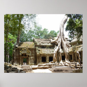 Poster arbre ta prohm