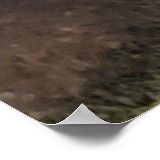 Poster Arbre teint bleu (Coin)