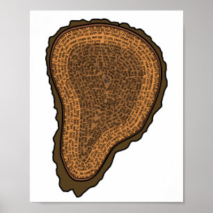Poster Arbre Tronc de tronc Section Cercles de Croissance