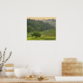 Poster Arbre unique en champ agricole, Toscane, (Cuisine)