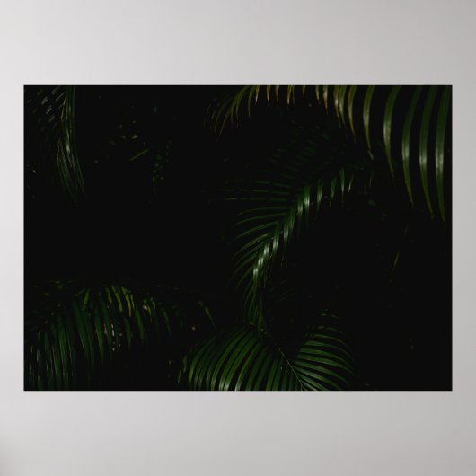 POSTER ARBRE VERT (Devant)