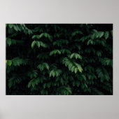 POSTER ARBRE VERT (Devant)